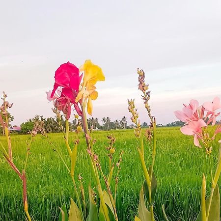Kurau Inn Farmstay Kuala Kurau Bagian luar foto
