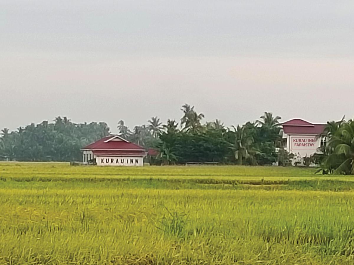Kurau Inn Farmstay Kuala Kurau Bagian luar foto