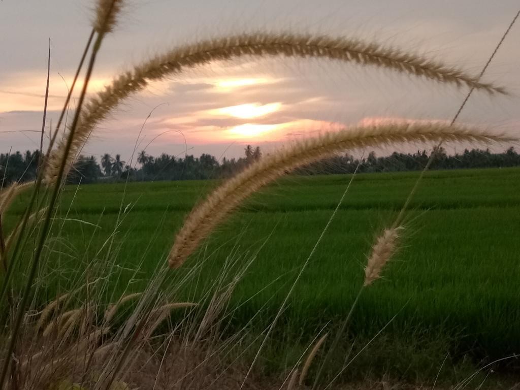 Kurau Inn Farmstay Kuala Kurau Bagian luar foto