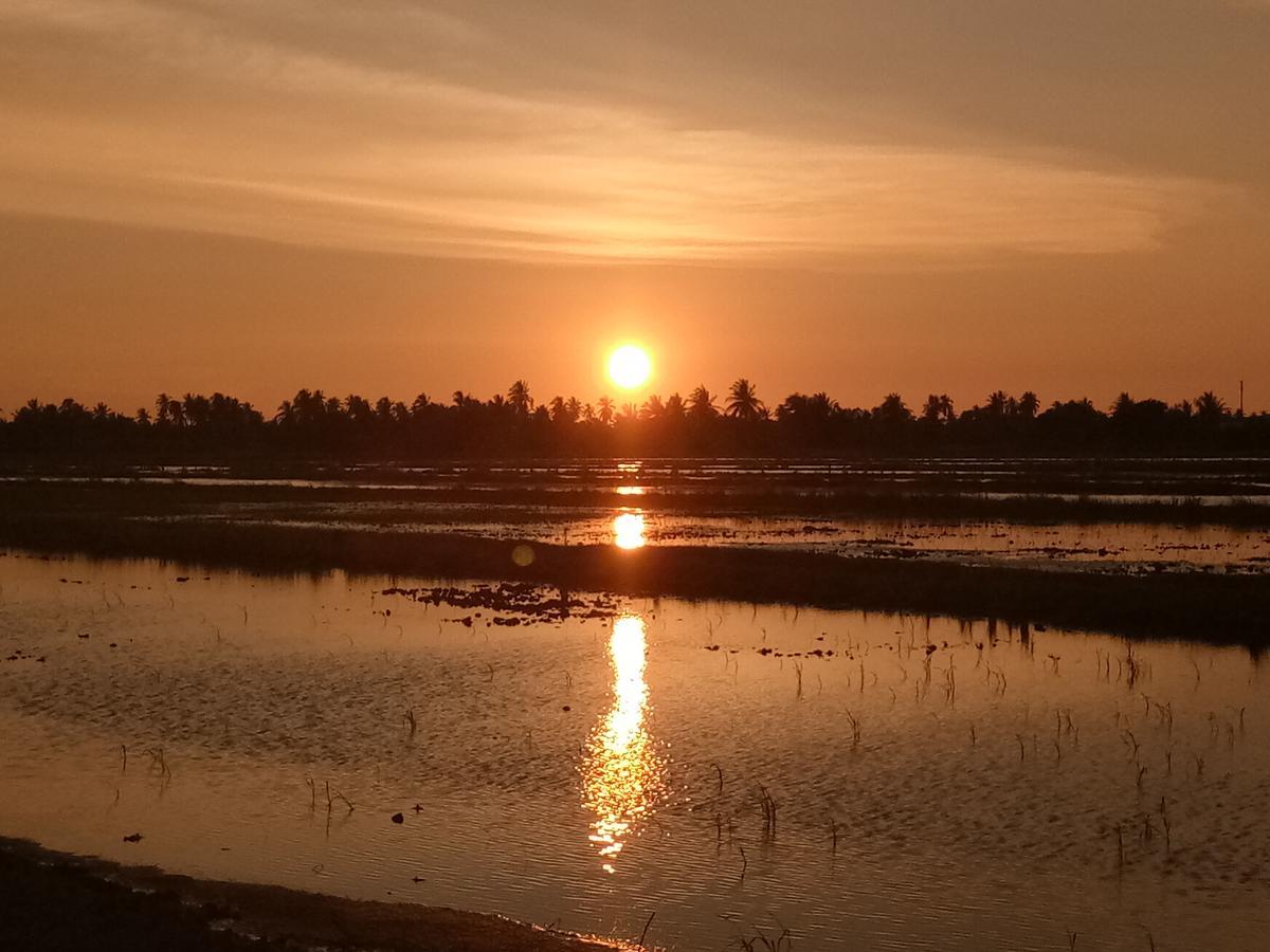 Kurau Inn Farmstay Kuala Kurau Bagian luar foto